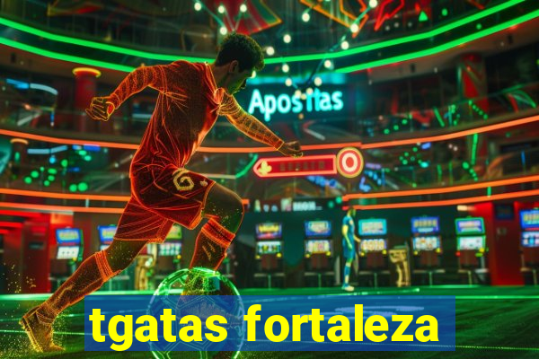 tgatas fortaleza